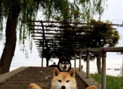 LOL决赛-智利之盾与魔笛之舞，2026世界杯E组强强对话的控球权争夺战