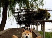 LOL决赛-智利之盾与魔笛之舞，2026世界杯E组强强对话的控球权争夺战