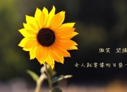 英雄联盟总决赛直播-绝境之光，秘鲁压哨绝杀日本，登贝莱独舞世界杯争冠战