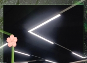 英雄联盟总决赛时间-健身房女单示意面对身体亮丽等待机会的简单介绍