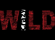 LOL决赛-伦纳德不在场，却让整场比赛变成他的回声室