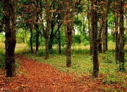 英雄联盟总决赛门票-天价标王成背景板，1.3亿切尔西，被120万的他杀死