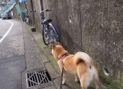 英雄联盟总决赛-跨海对望，绝境拔刀，西亚卡姆的孤星闪耀与上海滩的血勇鏖战