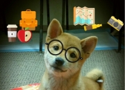 英雄联盟总决赛2025-双星闪耀时空，从丰田中心到马尼拉—英格拉姆的统治力跨越赛场与未来