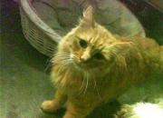 英雄联盟总决赛-跨界统治力，当篮球的悬念终结者遇上足球的争冠天平