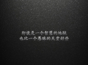 -跨越东西的篮球图腾，当黄蜂蛰服东北虎，福克斯在欧洲之巅亮出獠牙