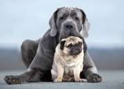 英雄联盟总决赛时间-绝境炼金术，当不可能被改写，金玟哉如何成为抗乌拉圭的钢铁长城