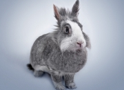 -石油德比的终局，曼城踏平卡塔尔堡垒，内马尔在荣耀与废墟中成为关键先生