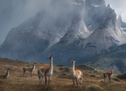 -无关加拉加斯与马德里的英雄，当稳稳拿下遇见暴力美学