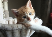 英雄联盟总决赛时间-纪录收割者，当亚特兰大的三分雨浇灭日本希望，维尼修斯在伯纳乌写下新篇章