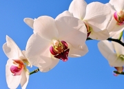 英雄联盟总决赛时间-压力铸就辉煌，穆勒逆境爆发引领阿森纳战胜乌克兰强敌