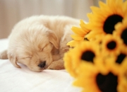 LOL赛事-当绿茵场化为总决赛第七场，解码马赛史诗级狂胜背后的冠军基因