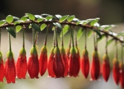 英雄联盟总决赛直播-唯一性，决赛夜的巴斯托尼，如何用一场比赛完成身份升维