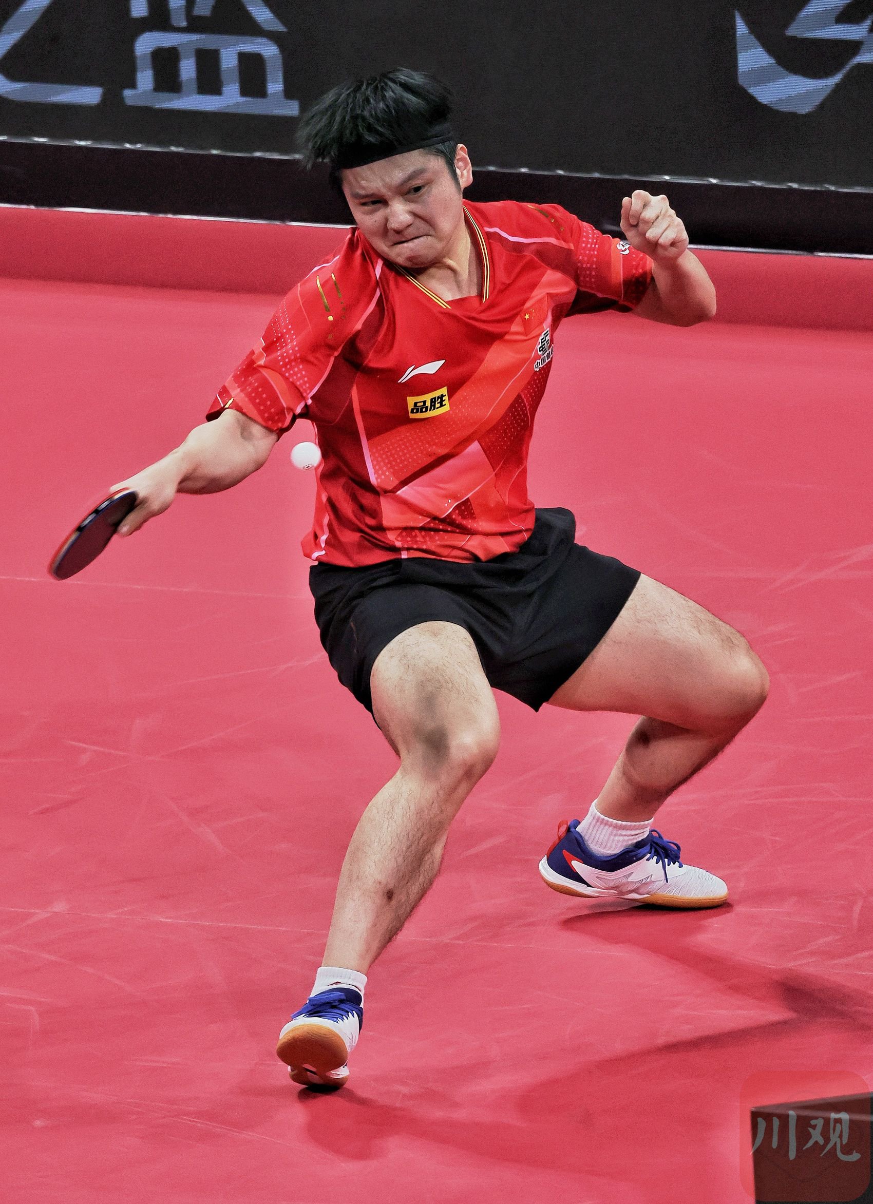 韩国队力克英格兰队，樊振东扛起全队