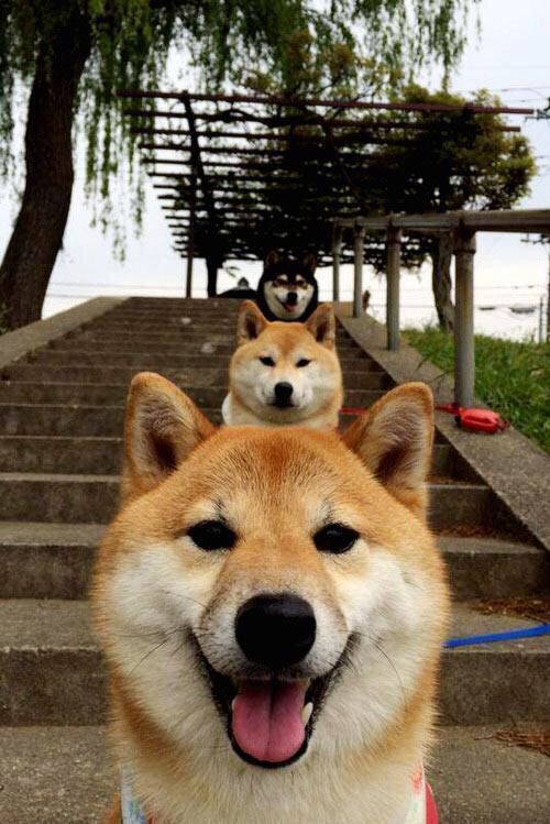 巨星破局VS群狼噬敌，穆勒闪光下的墨西哥风暴如何冲垮阿森纳体系