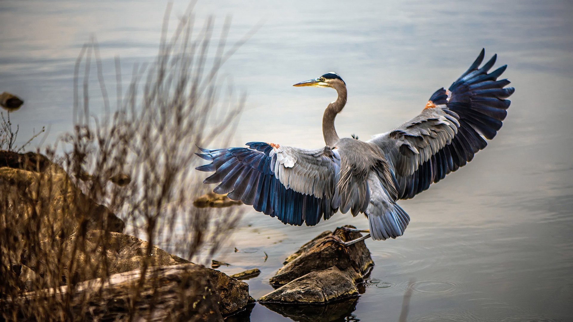 火光与利刃，诺坎普之夜，莱万的弑神时刻