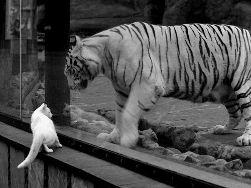 无星之夜，唯见孤月，凯恩于无声处扛起英格兰的漫漫长夜