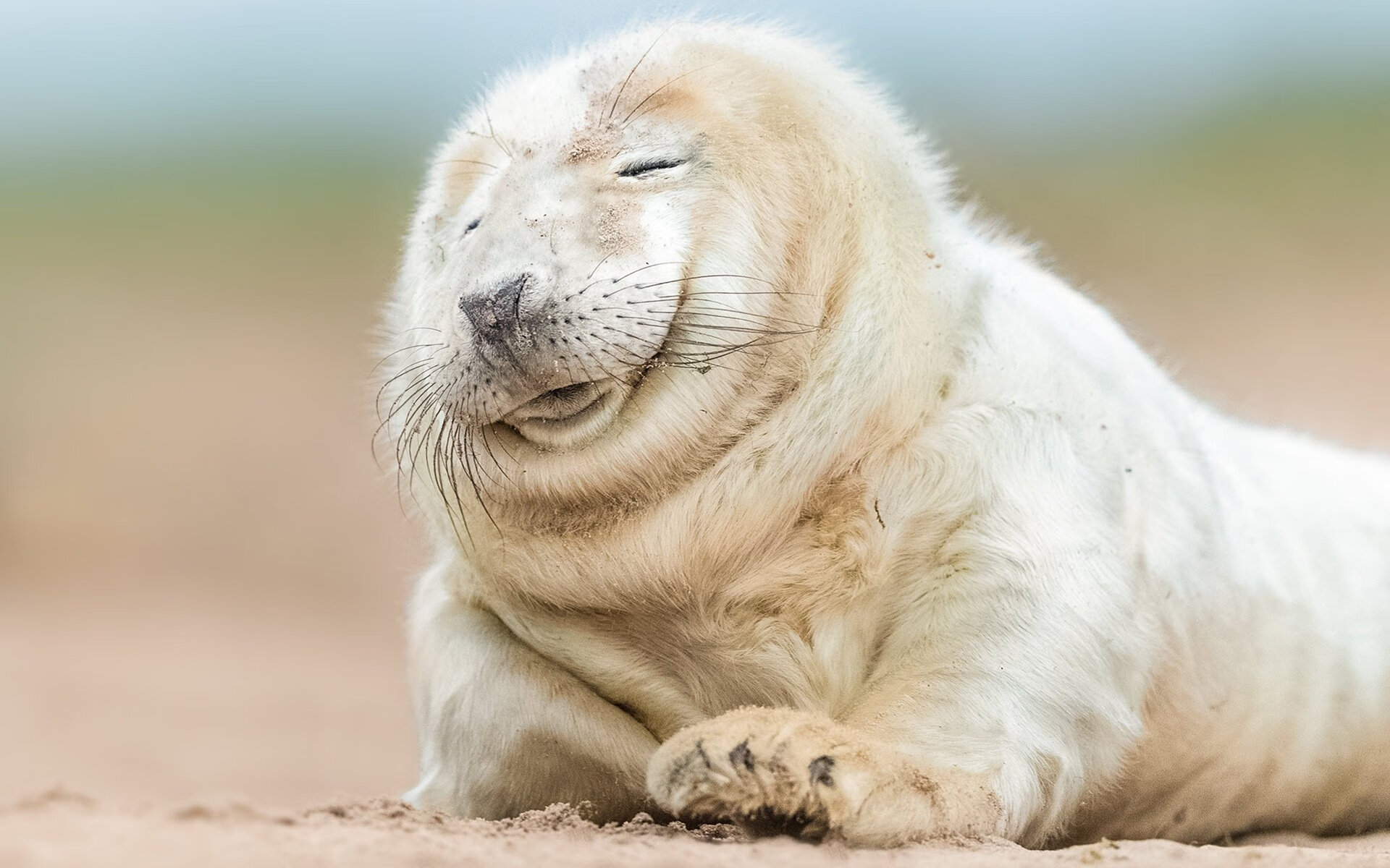 铁闸与利刃，当埃及火力压制哥伦比亚，赖斯在奥运烽火中定义新纪元