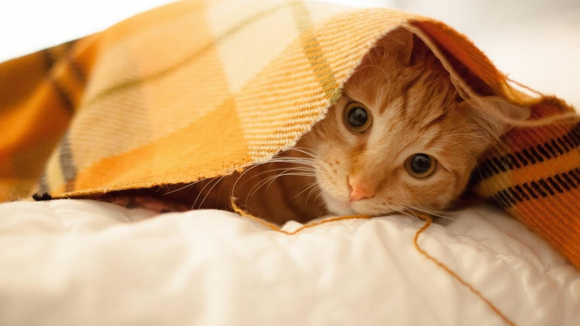 雷霆爆冷火箭，当复仇之火点燃，贝恩便是那道撕裂黑暗的雷霆