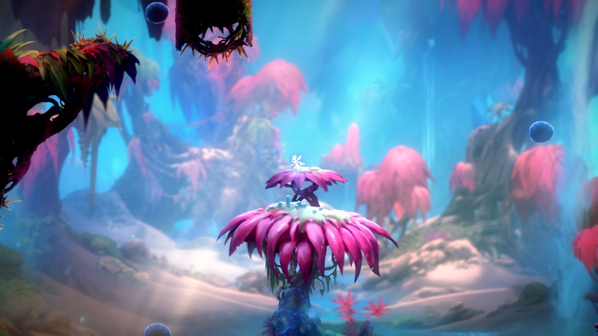 压哨绝杀，一锤定音！小贾伦完成角色逆袭，成为魔术关键先生