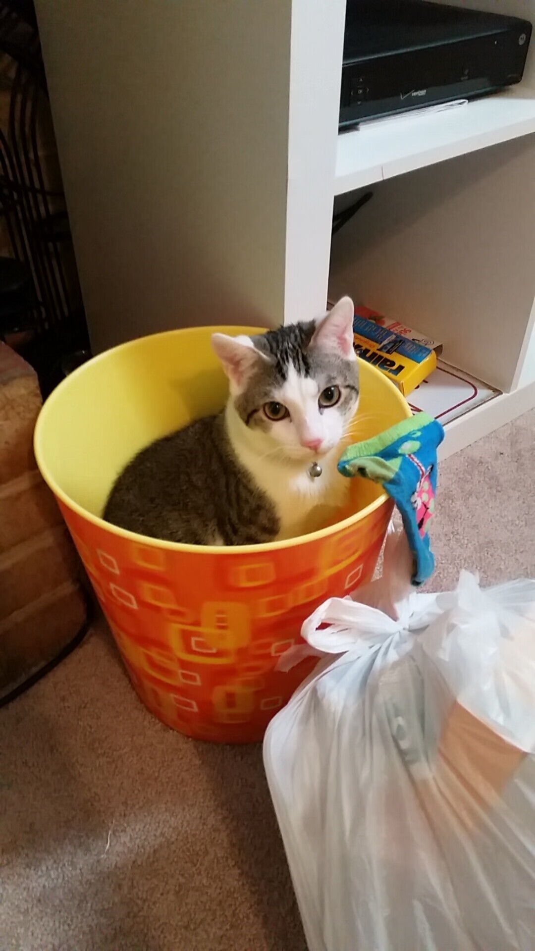 时空裂痕,当欧文跨次元接管比赛