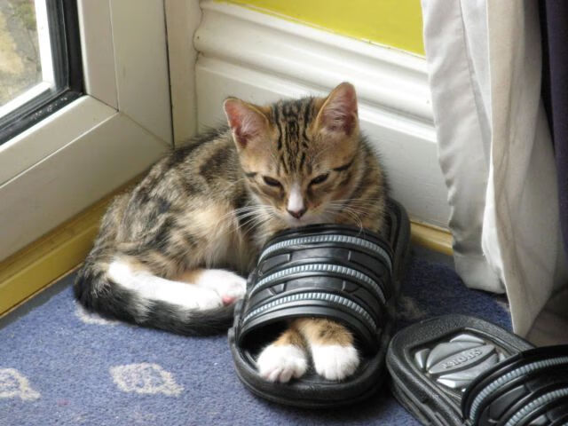 引擎轰鸣与变向急停，当F1街道赛成为莫兰特的绝对焦点