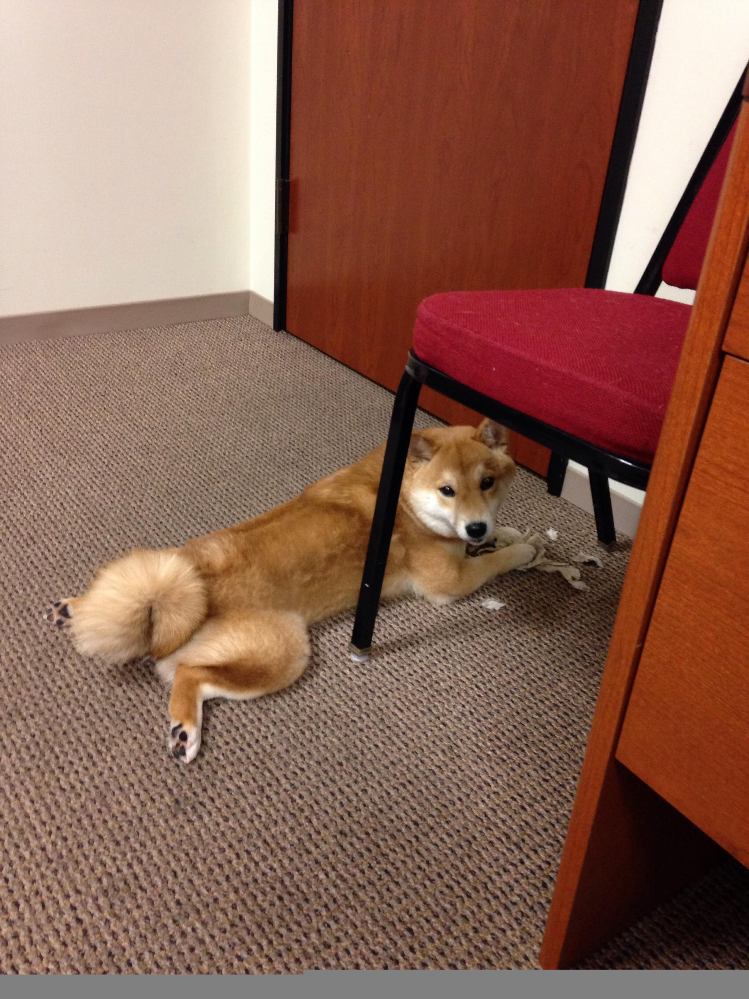 双星璀璨，跨越赛场的巨星如何定义比赛唯一性