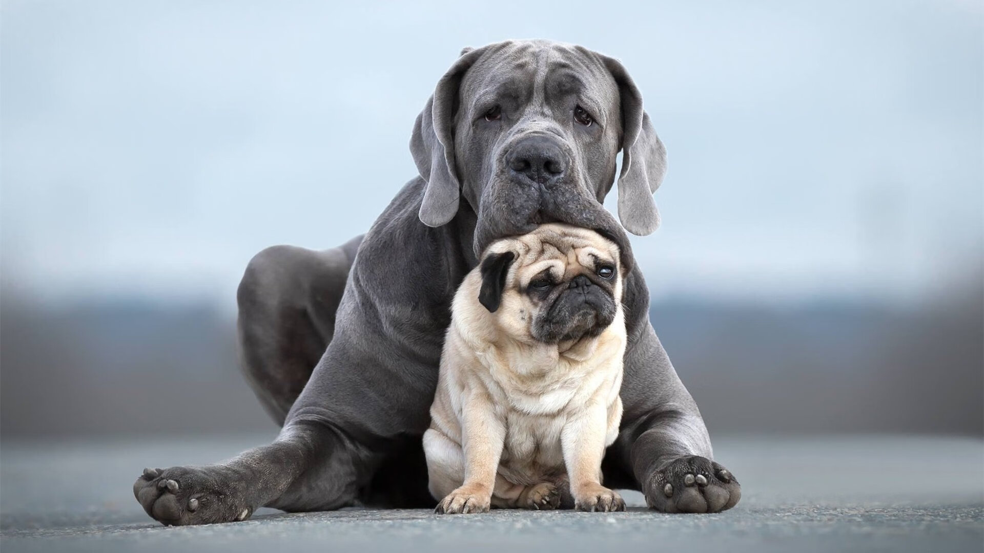 绝境炼金术，当不可能被改写，金玟哉如何成为抗乌拉圭的钢铁长城