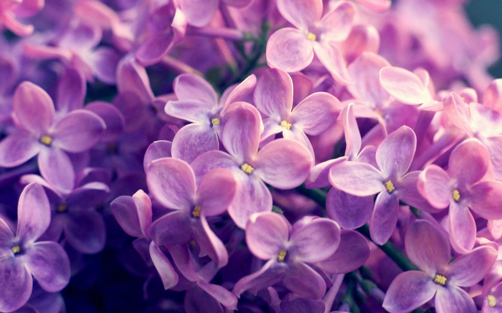 重生之战，范弗利特刀刃出鞘，斩断马刺反扑