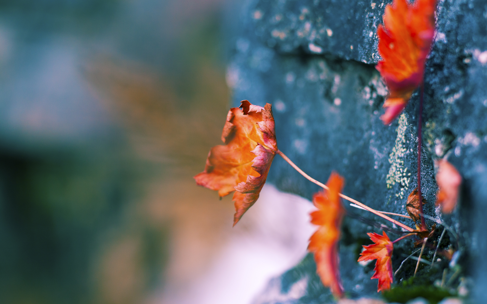 米切尔式逆袭，当鹈鹕以硬仗之王姿态正面碾过快船巨轮