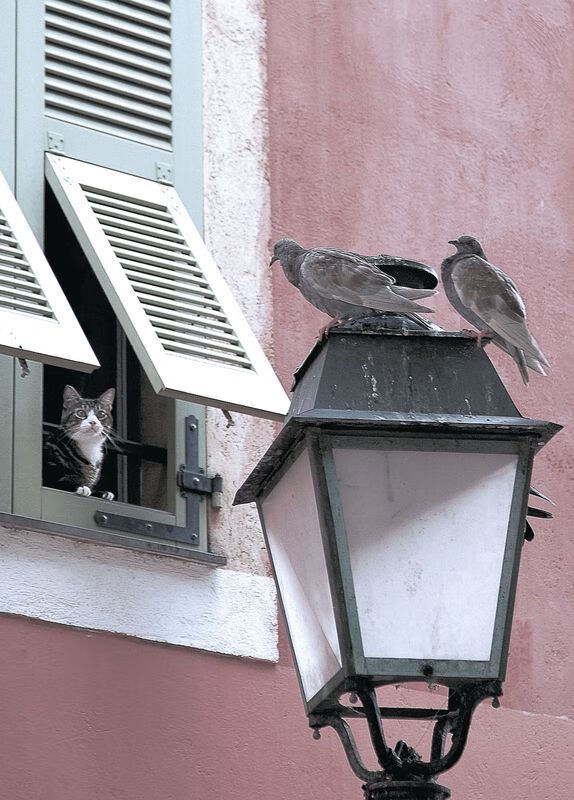 三分钟风暴，布克化身大场面先生，新疆队一波流带走尼克斯