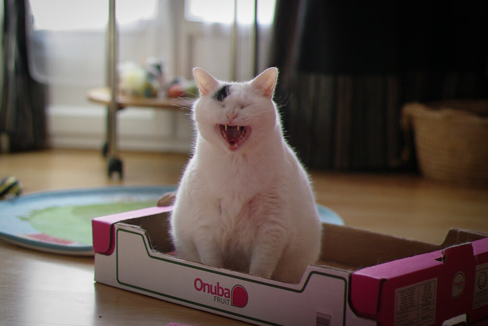 思维扩展与文章标题