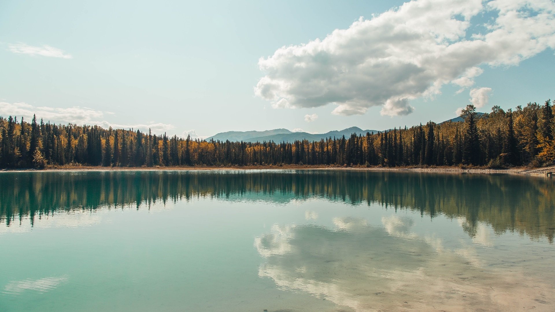 极速狂飙与篮球风云,山西队以F1街道赛战术带走猛龙