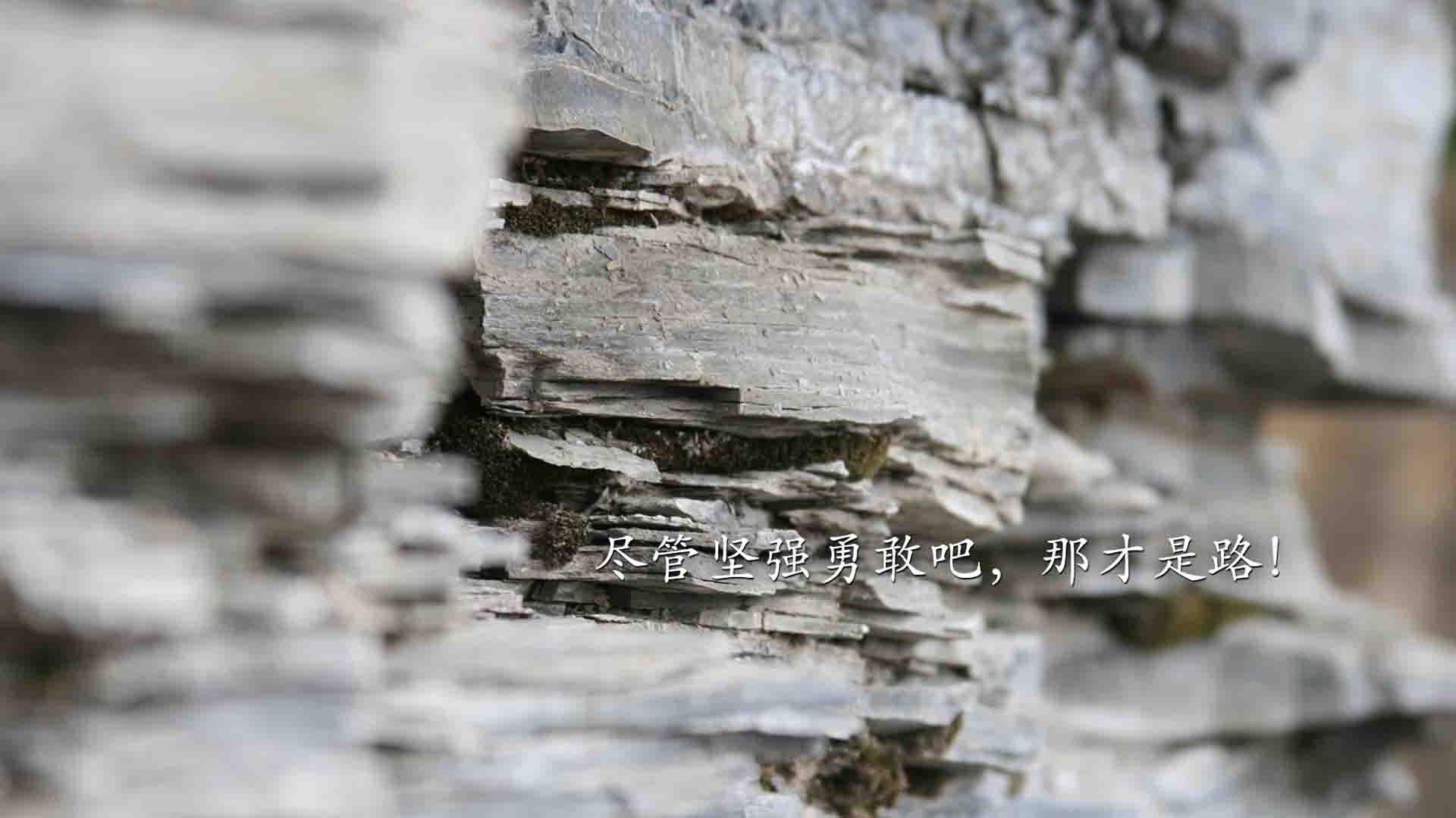 赛道与球场的双重奏,当布伦森在F1终点线前超车国王