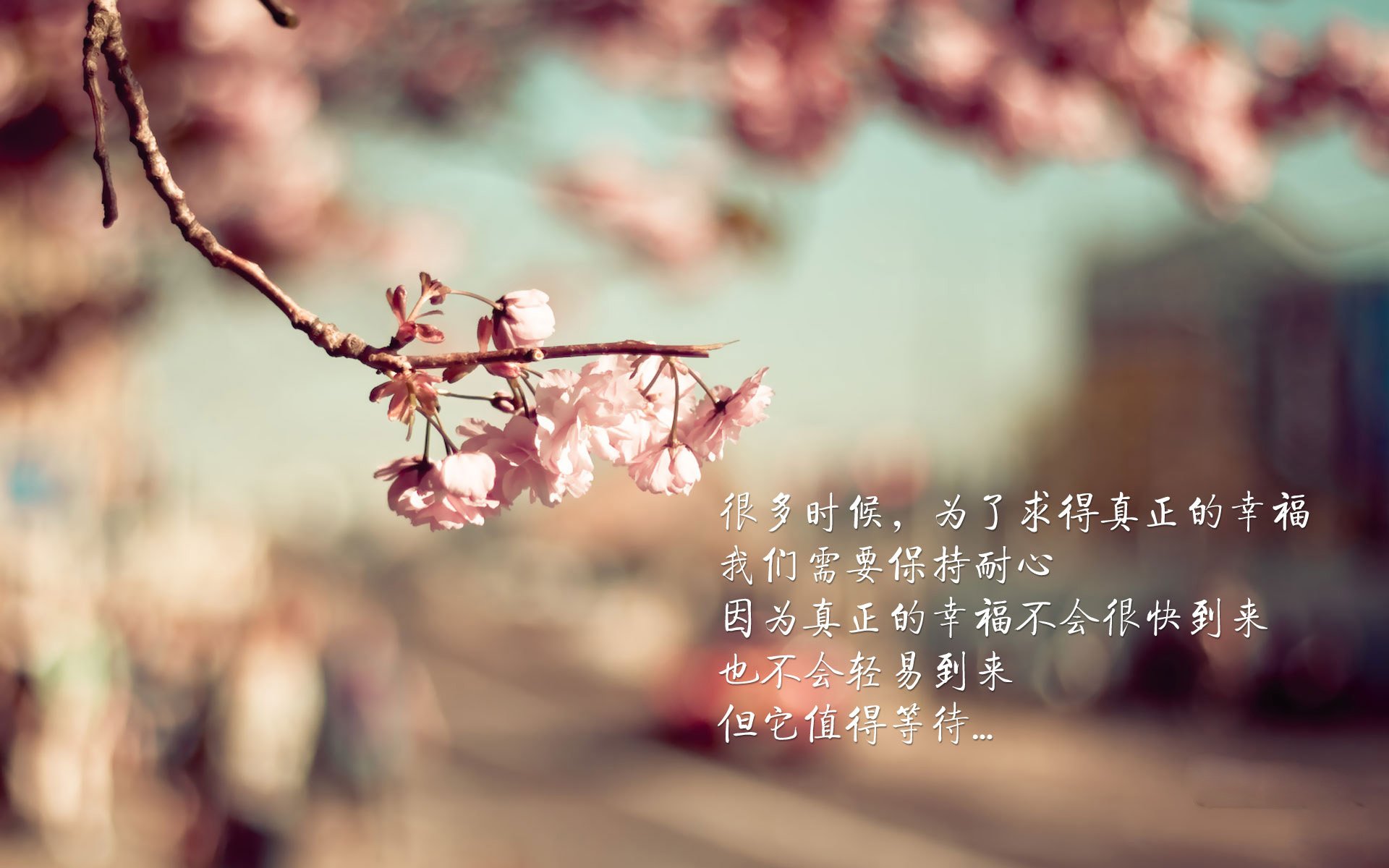 沙漠风暴中的孤胆英雄，2026世界杯D组，阿联酋绝杀哥斯达黎加，莫德里奇用控球书写不老传奇