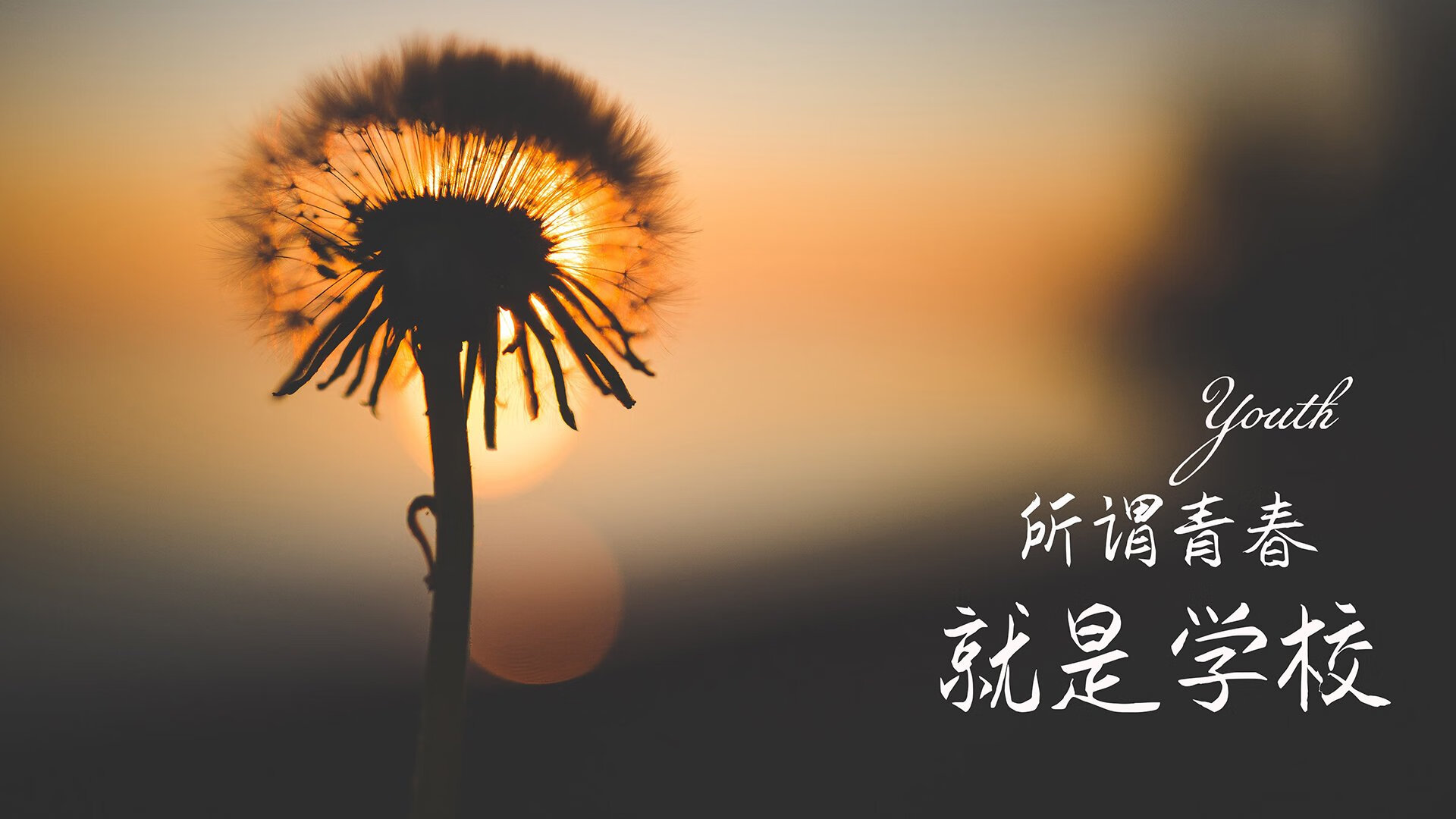 2026世界杯黑马之战，匈牙利铁骑碾压智利，拉什福德独舞点燃北美夜空
