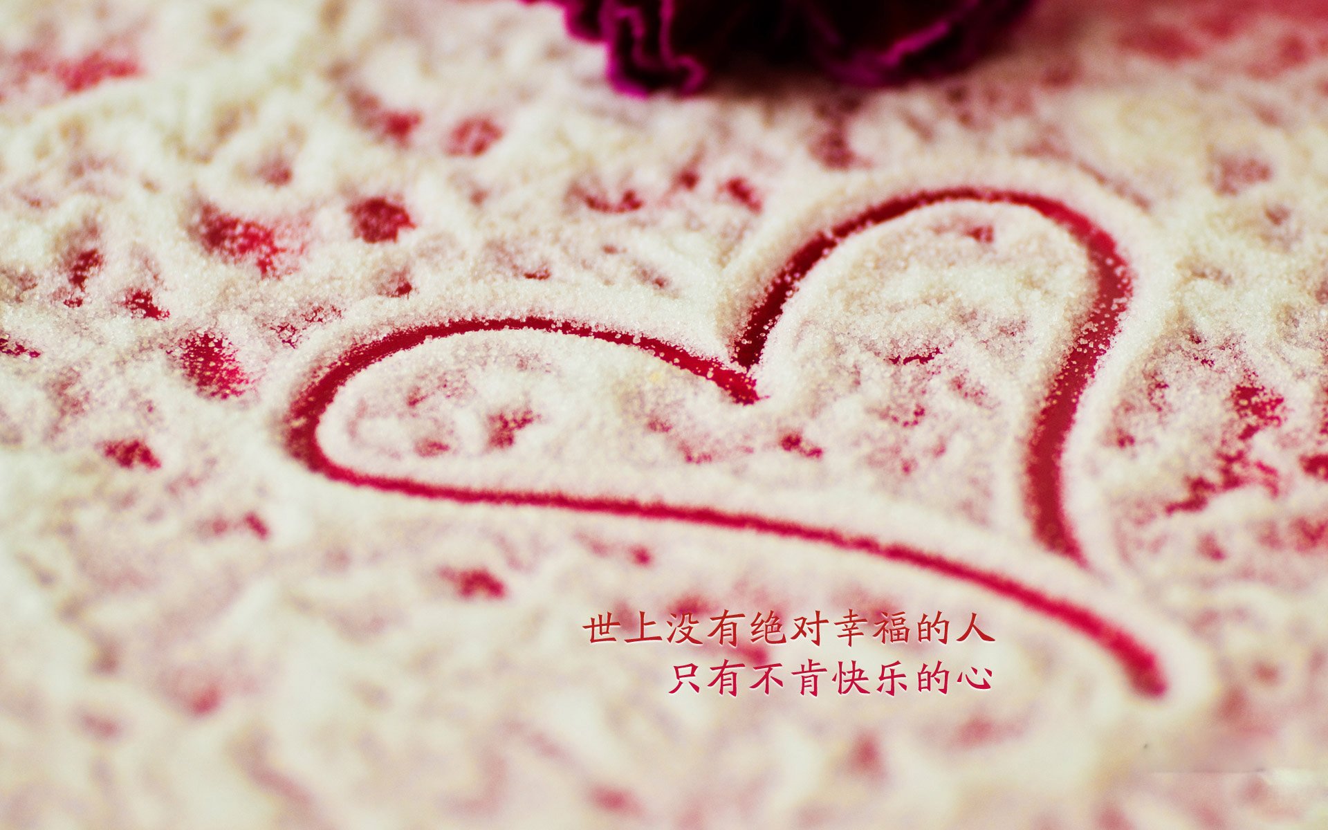 闪电战撕裂枫叶之国，厄瓜多尔如何用萨卡的速度与反击风暴，定义2026世界杯E组唯一的神话