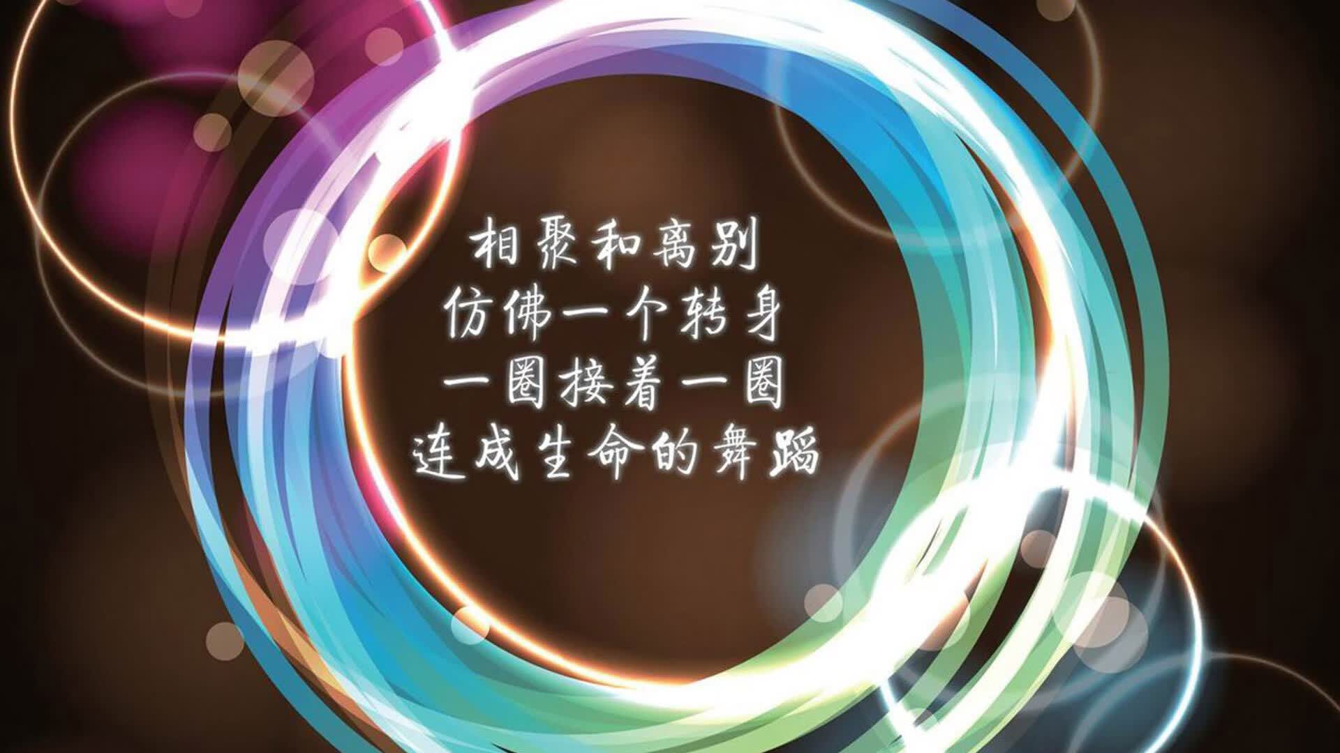 绿洲风暴，2026世界杯D组的独奏曲，伊拉克如何在攻守转换间碾压挪威